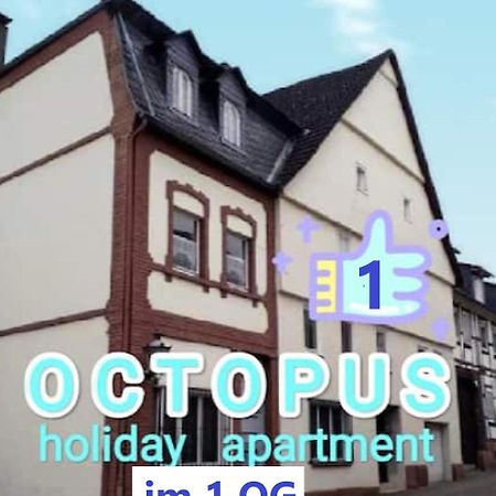 Octopus-1 Monteurwohnung In Zentrum! 2-Zkb In 1Og Хофгайсмар Экстерьер фото